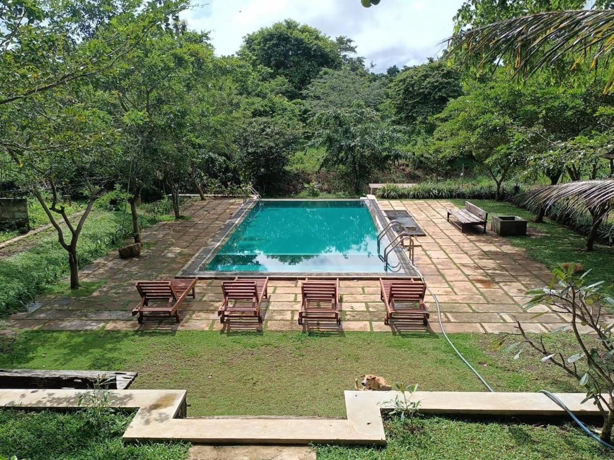 Spice Village Hotel & Restaurant Хабарана Экстерьер фото