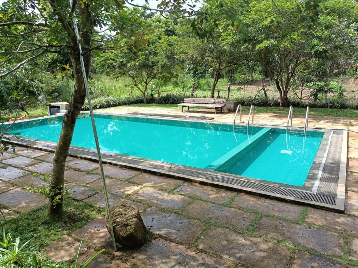 Spice Village Hotel & Restaurant Хабарана Экстерьер фото